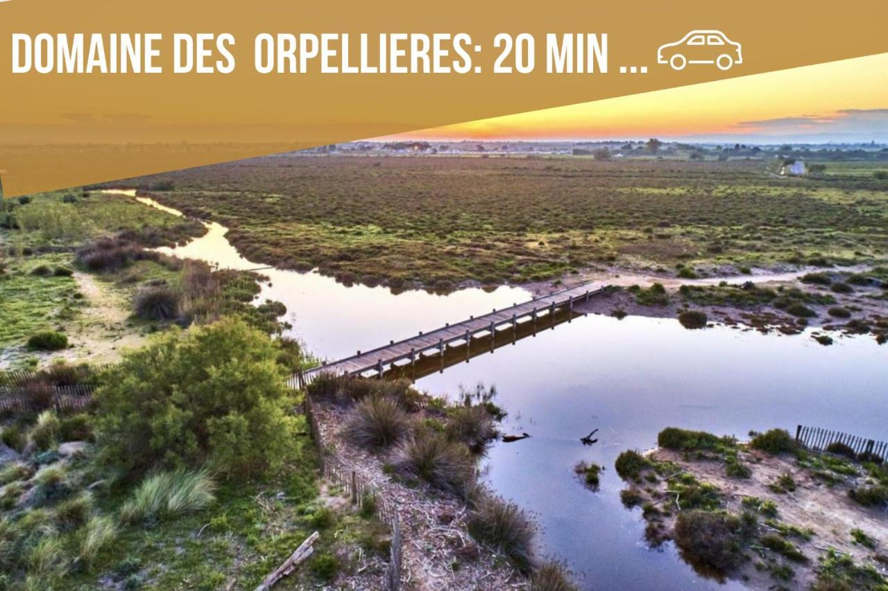 דירות Centre Historique - Free Parking - Self Checkin - Wifi - Industriel - Sleepntripבזייה מראה חיצוני תמונה